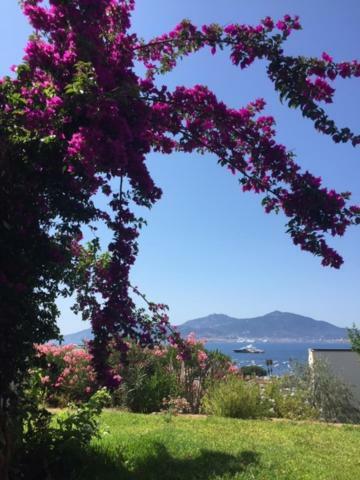Appart 8 Pers Vue Sur Baie - Porticcio Porticcio  Dış mekan fotoğraf